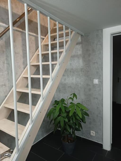 Gite Chez L'Oncle Paul Urschenheim Dış mekan fotoğraf